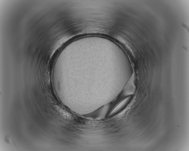 X0000097780973200803281658