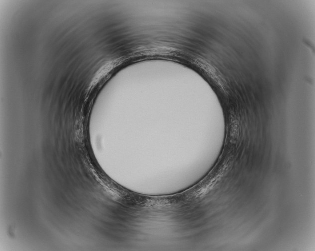 X0000097780978200803281658