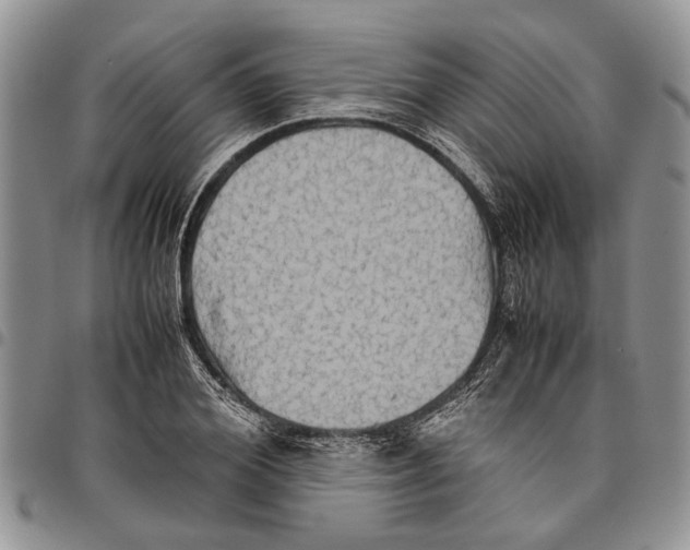 X0000097780980200803281658