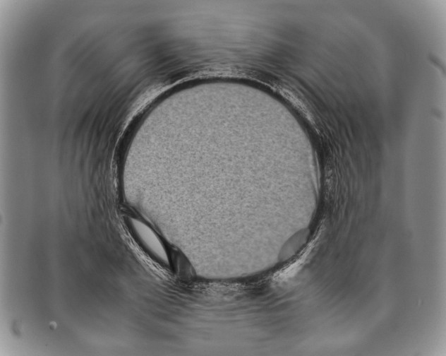 X0000097780981200803281658