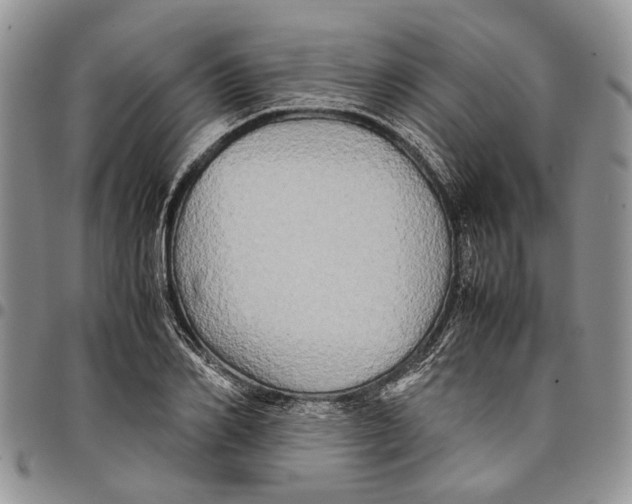 X0000097780982200803281658