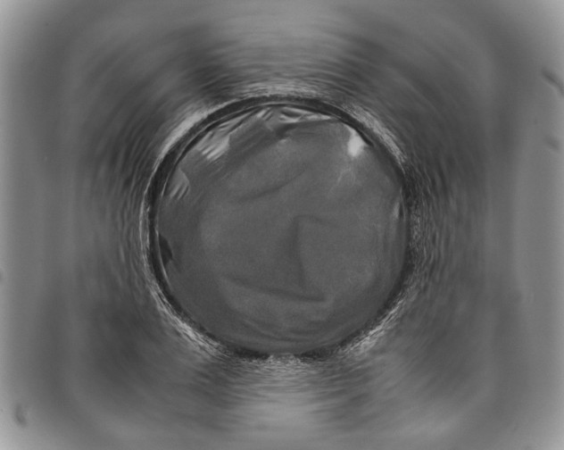 X0000097780983200803281658