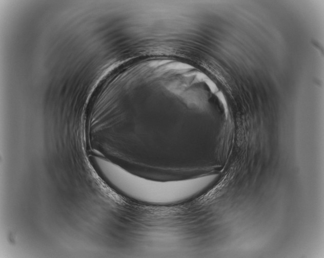 X0000097780984200803281658