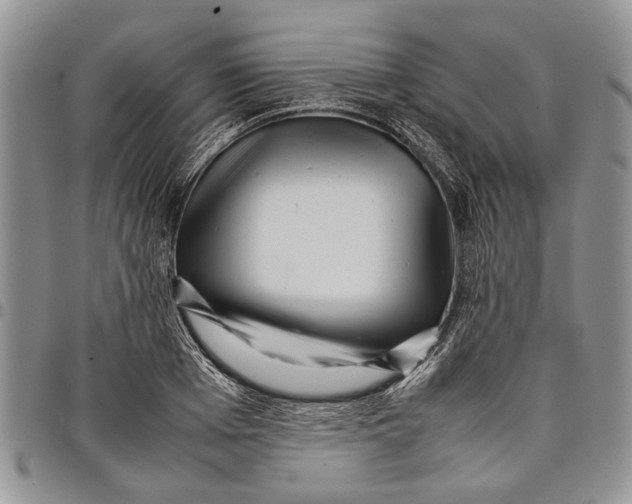 X0000097780985200803281658