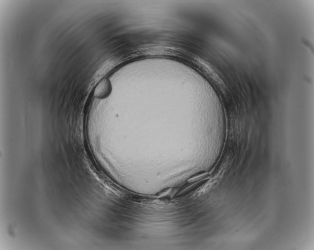 X0000097780986200803281658