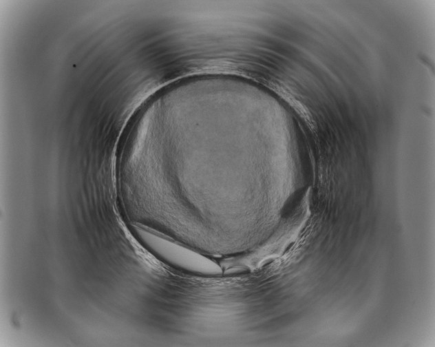 X0000097780988200803281658