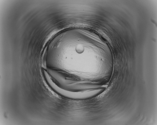 X0000097780989200803281658