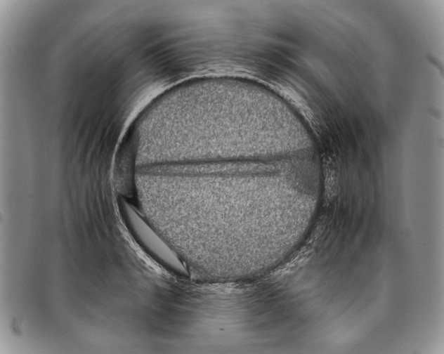 X0000097780990200803281658