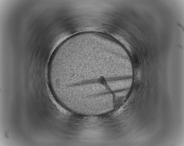 X0000097780991200803281658