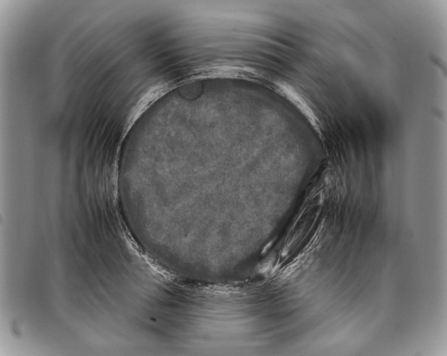 X0000097780994200803281658