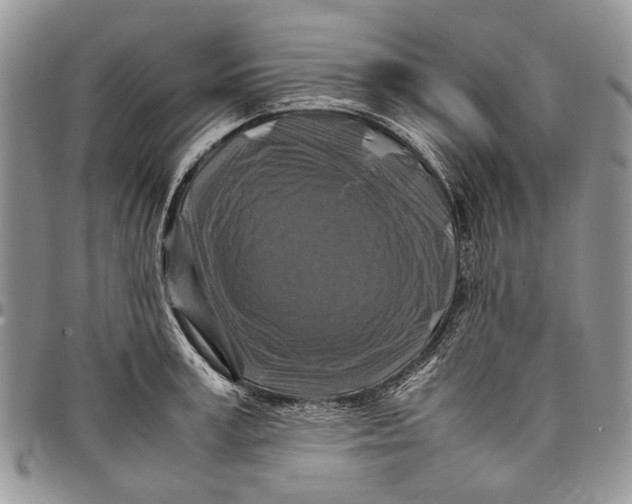 X0000097780995200803281658