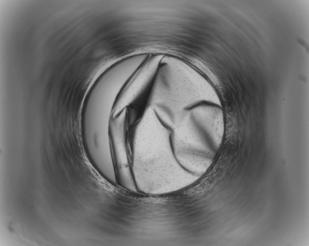 X0000097780996200803281658