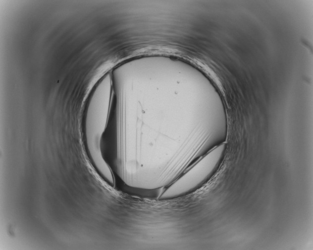 X0000097780997200803281658