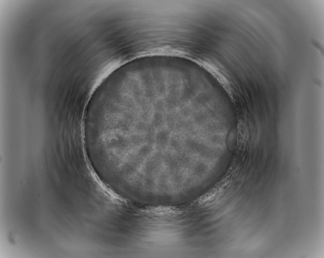 X0000097780998200803281658