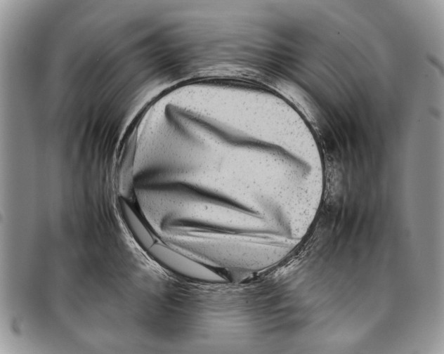 X0000097781000200803281658