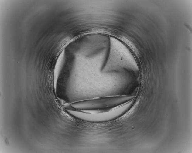 X0000097781001200803281658