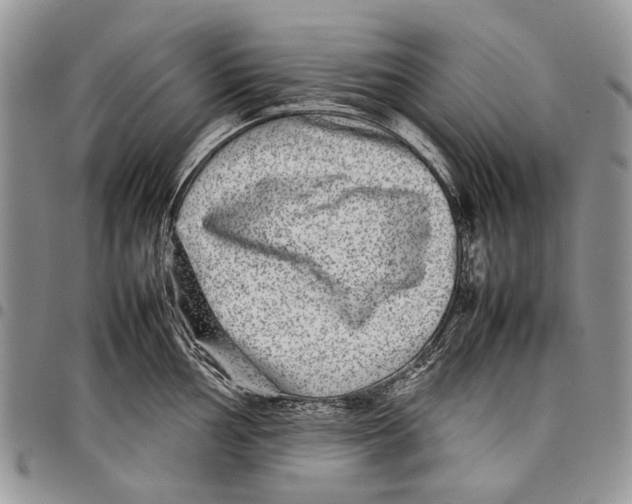 X0000097781002200803281657