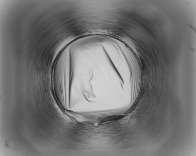 X0000097781003200803281657