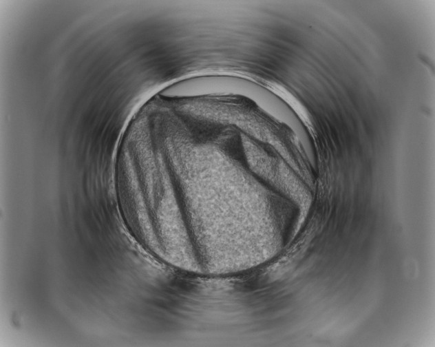 X0000097781004200803281657