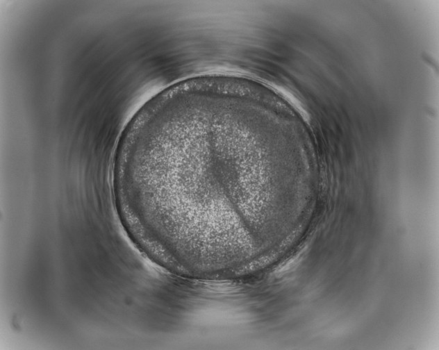 X0000097781007200803281657