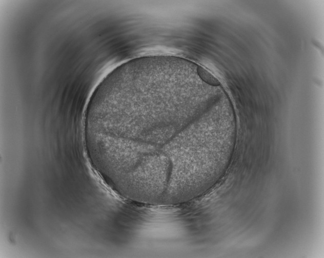 X0000097781008200803281657