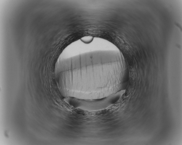 X0000097781009200803281657