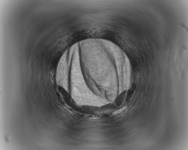 X0000097781010200803281657