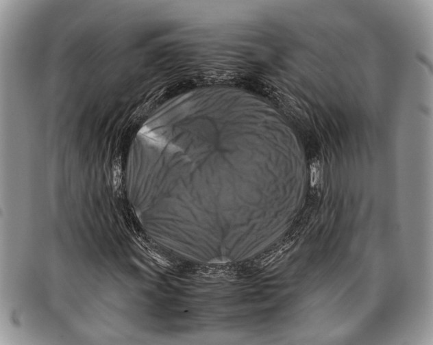 X0000097781011200803281657