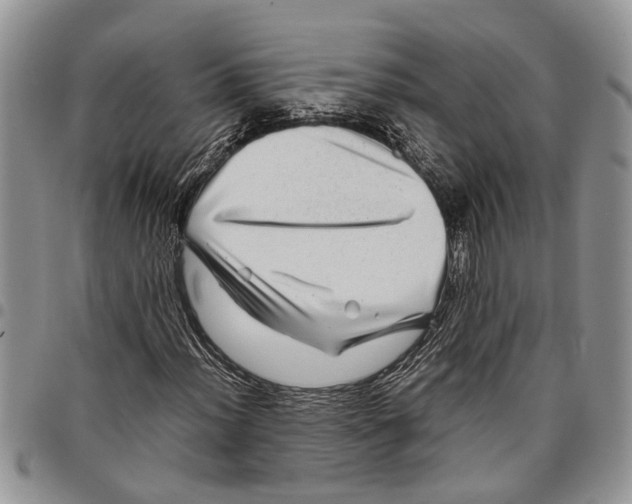 X0000097781012200803281657