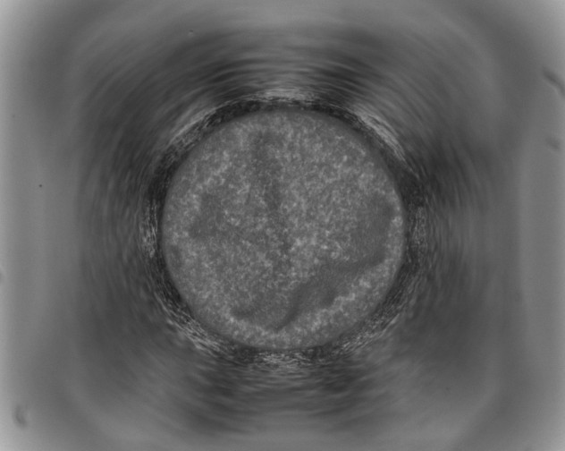 X0000097781015200803281657