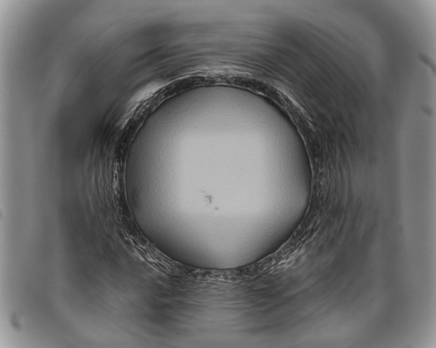 X0000097781016200803281657