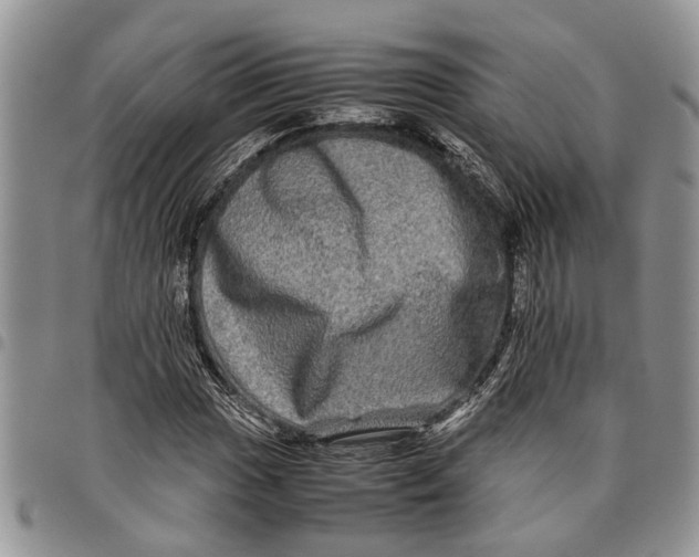 X0000097781017200803281657