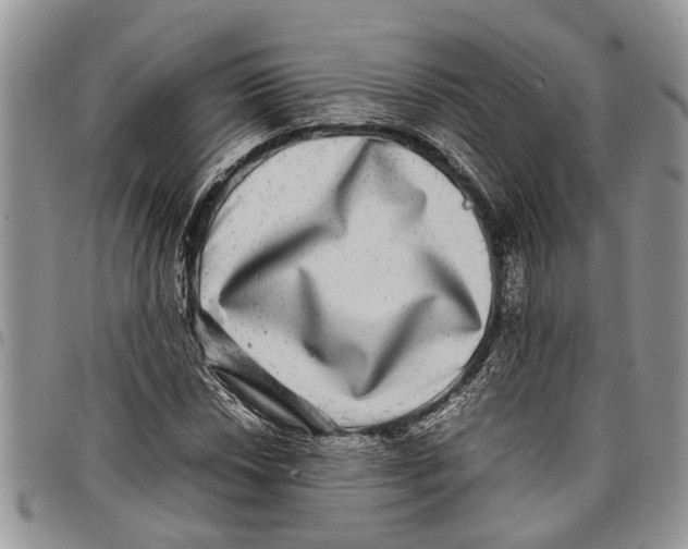 X0000097781018200803281657