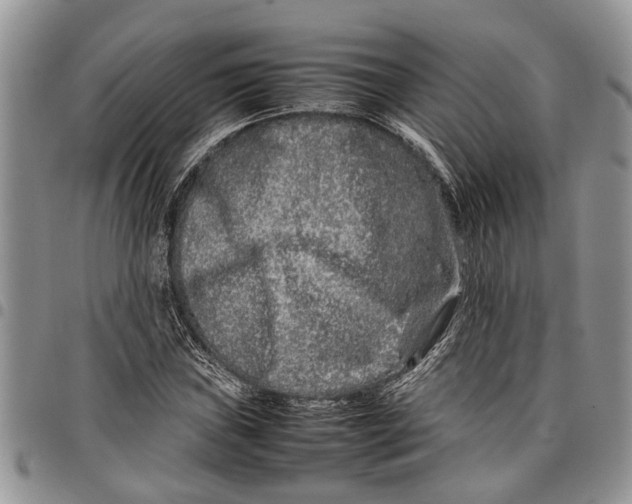 X0000097781019200803281657