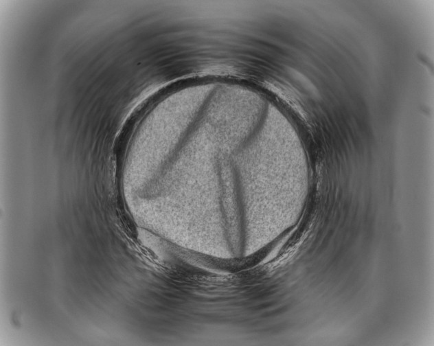 X0000097781021200803281657