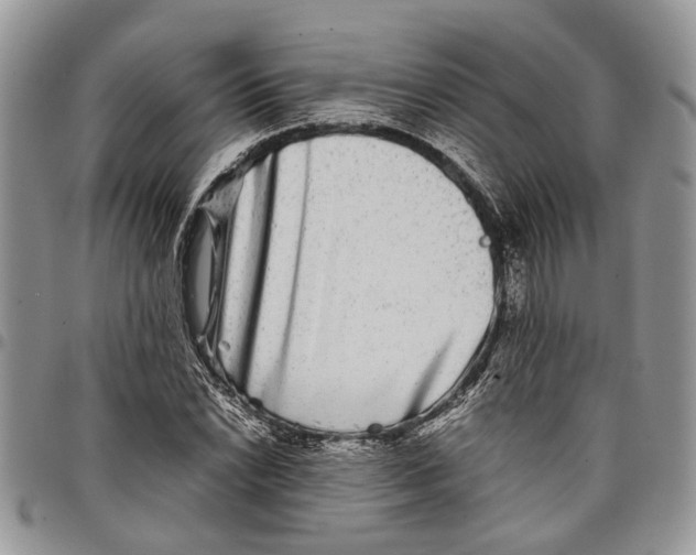 X0000097781022200803281657