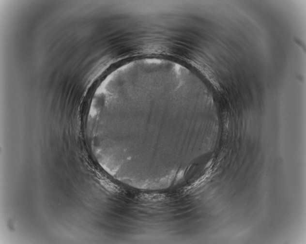 X0000097781023200803281657