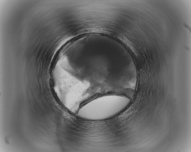 X0000097781024200803281657