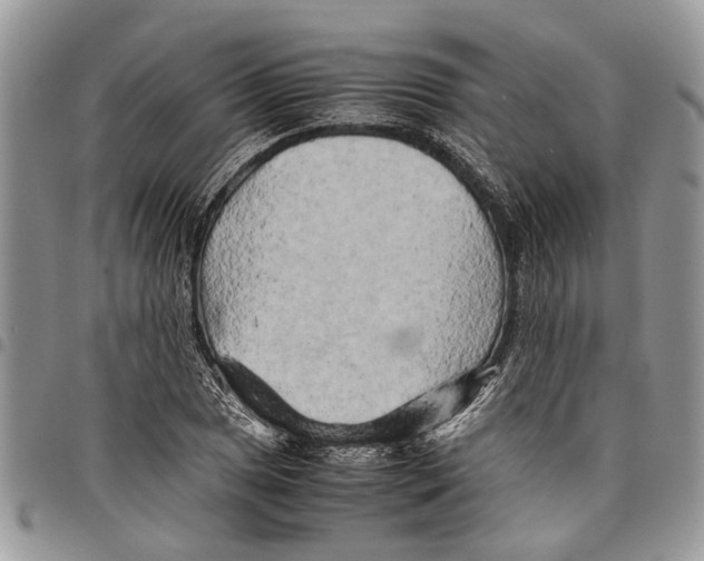 X0000097781025200803281657