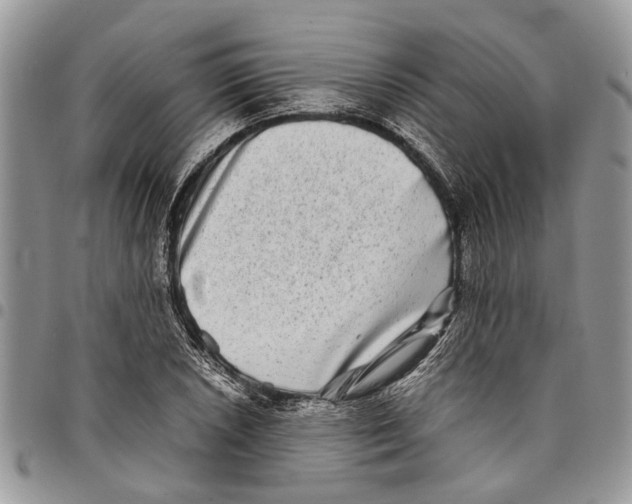 X0000097781026200803281657