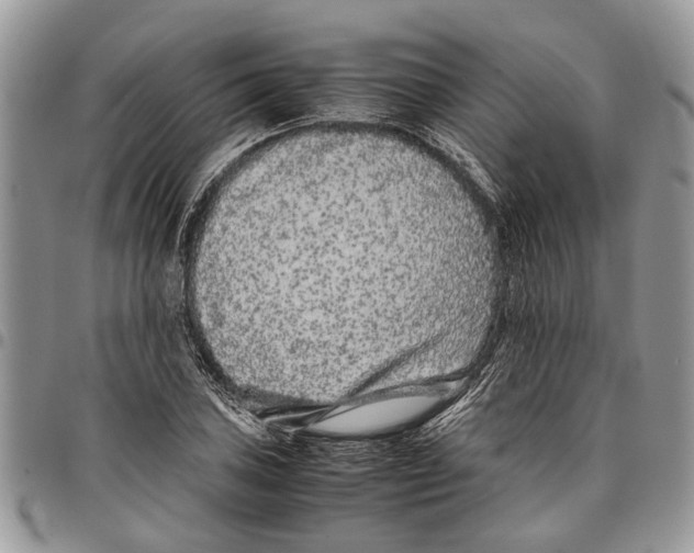 X0000097781027200803281657