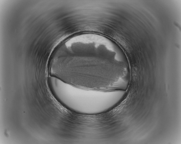 X0000097781028200803281657