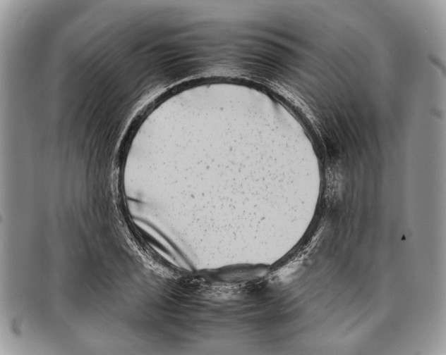 X0000097781029200803281657