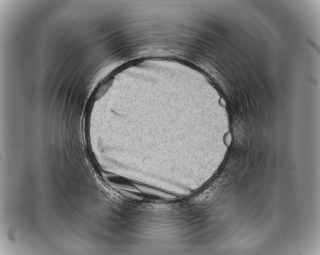 X0000097781030200803281657