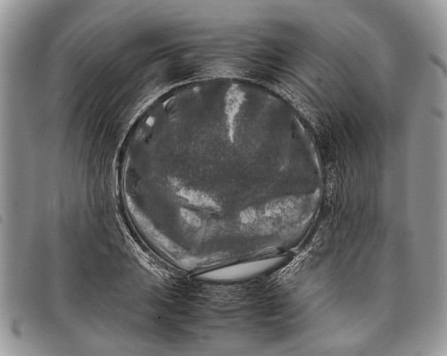 X0000097781031200803281657