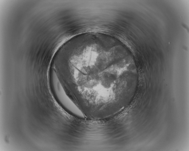 X0000097781032200803281657