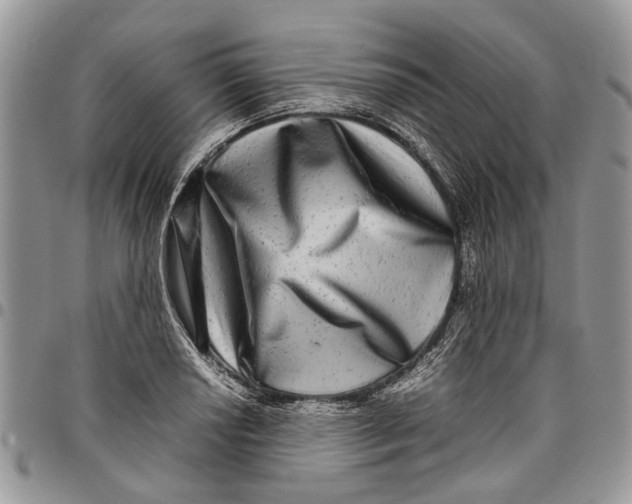 X0000097781034200803281657