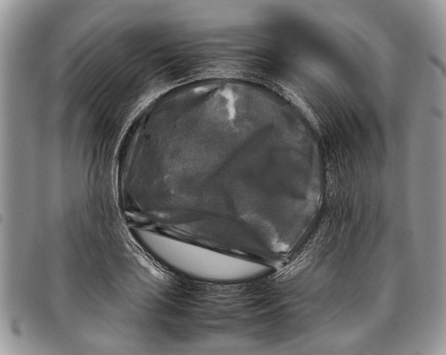 X0000097781035200803281657