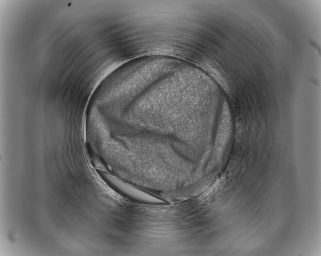 X0000097781036200803281657