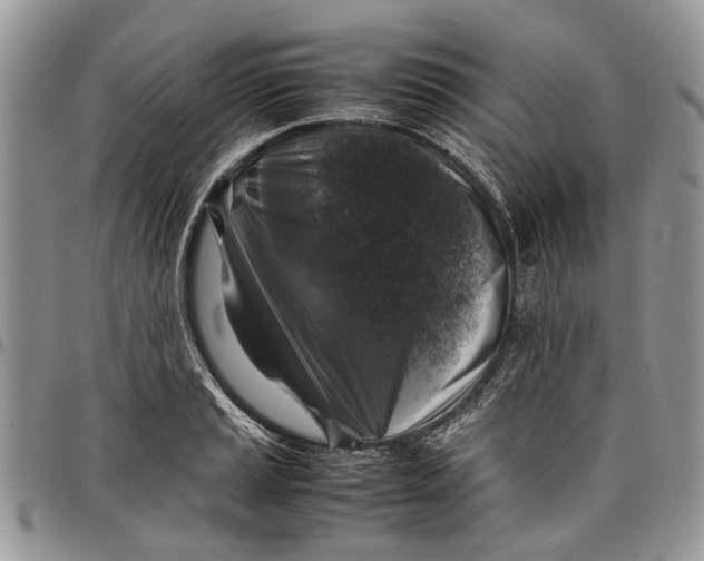 X0000097781037200803281657